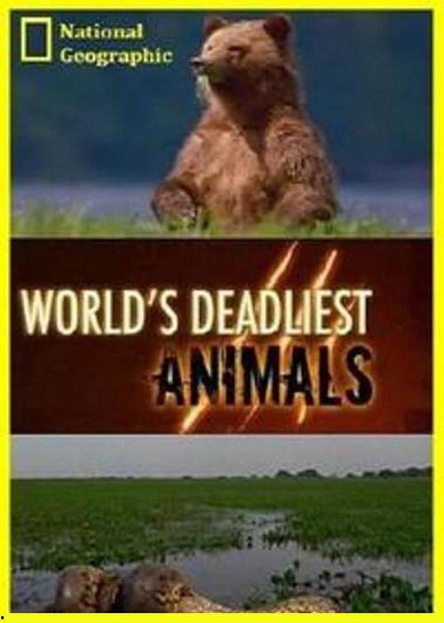 动物搏击会 第二季,激战升级，王者归来